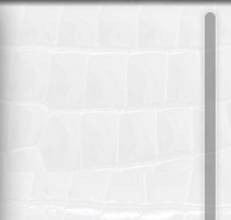 �W(w��ng)վ�o�L���l�O(sh��)Ӌ(j��)